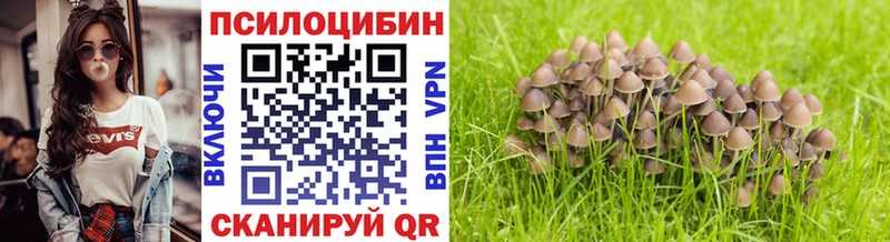 Псилоцибиновые грибы GOLDEN TEACHER  где найти наркотики  Яхрома 
