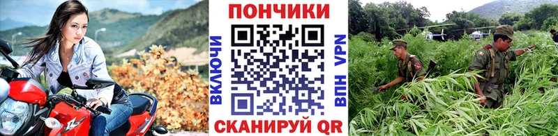 Каннабис марихуана Яхрома